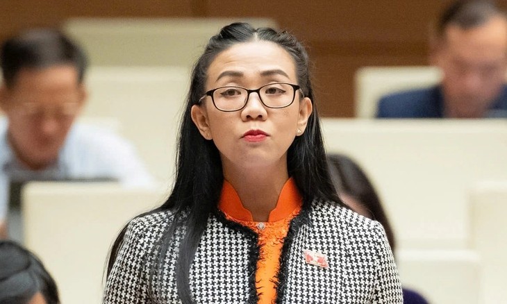 Vietnam impulsa la participación del sector privado en el desarrollo de la energía nuclear - ảnh 1