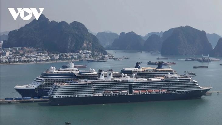 Quang Ninh recibe más de 19,8 millones de visitantes en los últimos 11 meses - ảnh 1