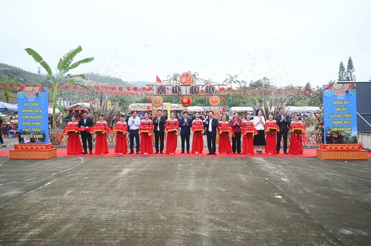 Celebran el Festival de la Naranja de Van Don 2025 - ảnh 1