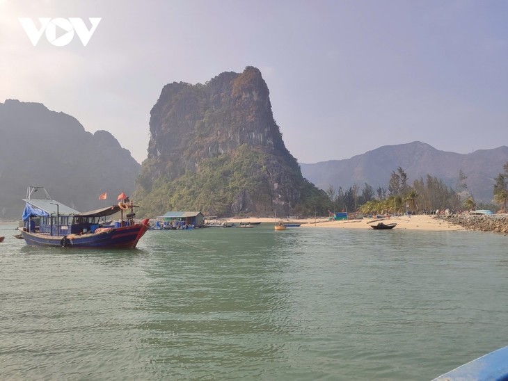 Lucha contra la pesca INDNR: Quang Ninh moderniza la gestión pesquera - ảnh 1