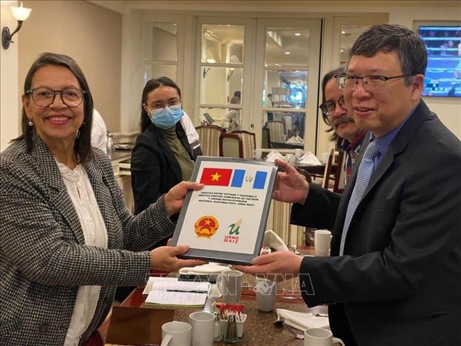 Vietnam y Guatemala continúan fortaleciendo relaciones - ảnh 1