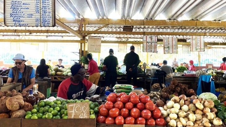 Brasil envía 21.000 toneladas de alimentos y suministros médicos a Cuba - ảnh 1