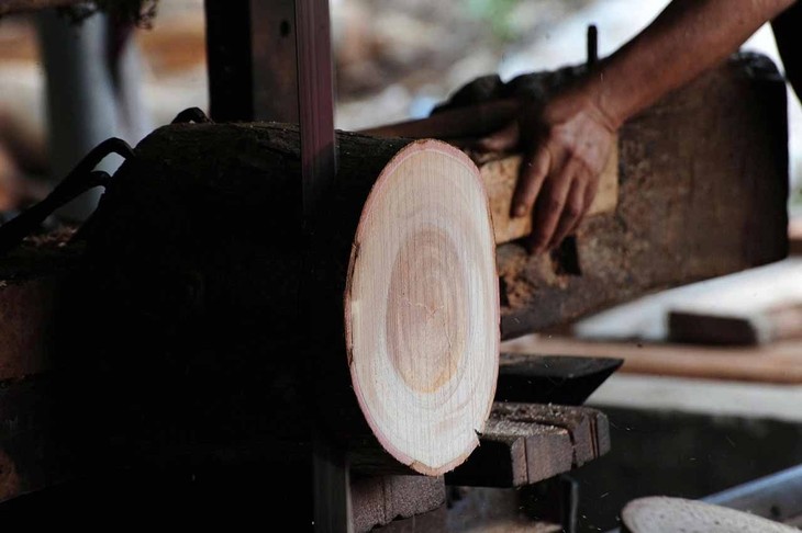 La aldea de las tablas de cortar de madera de Dinh An - ảnh 3