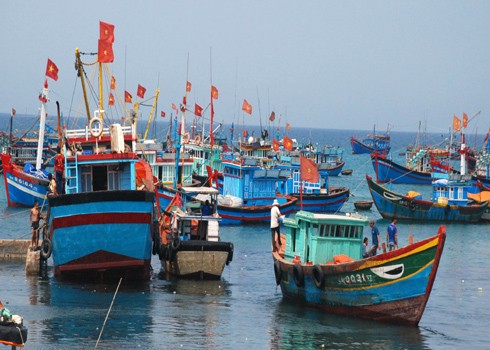 จังหวัด QuảngTrị พัฒนาเรือประมงน้ำลึกในหมู่เกาะ HoàngSa  - ảnh 1