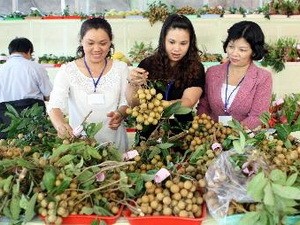 การประชุมส่งเสริมการลงทุน การค้าและการท่องเที่ยวเขตที่ราบลุ่มแม่น้ำโขง - ảnh 1