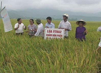 กลุ่มบริษัทหุ้นส่วนวัสดุการเกษตรเหงะอานกับกระบวนการสร้างสรรค์ชนบทใหม่ - ảnh 2