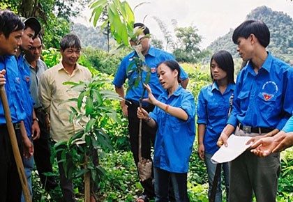 การเสวนาเกี่ยวกับโครงการเลือกปัญญาชนรุ่นใหม่ 500 คนเป็นการนำร่อง - ảnh 1