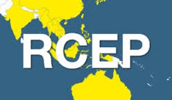 ประเทศ RCEP ให้คำมั่นที่จะยกเลิกการเก็บภาษีนำเข้าในระดับสูง - ảnh 1