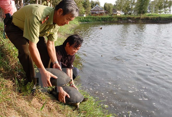 เดนมาร์กจะให้การช่วยเหลือเวียดนามอนุรักษ์ความหลากหลายทางชีวภาพต่อไป - ảnh 1