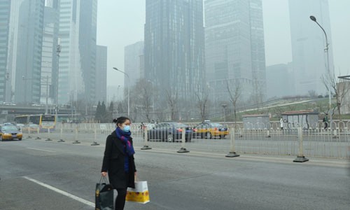 COP-21 ยังไม่สามารถตกลงกันเกี่ยวกับหน้าที่ สิทธิผลประโยชน์ก่อนโค้งสุดท้าย - ảnh 2