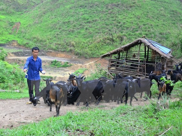 เวียดนามถือการแก้ปัญหาความยากจนคือเป้าหมายที่สูงสุดของโลก - ảnh 1