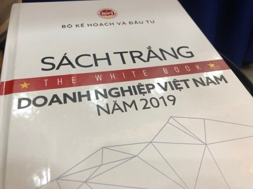  เปิดตัวหนังสือปกขาวสถานประกอบการเวียดนามปี 2019 - ảnh 1