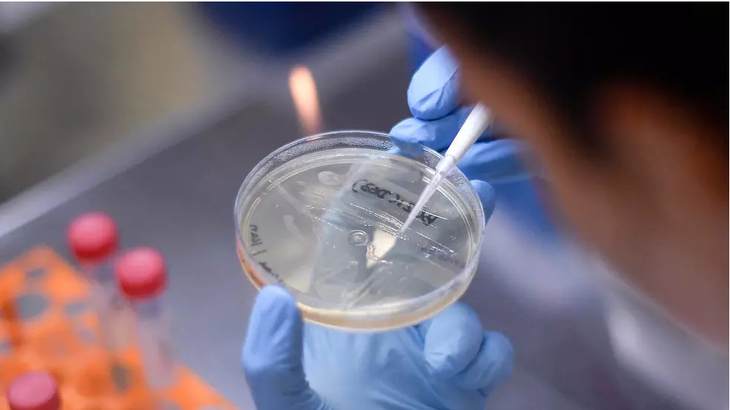 ต้องพยายามร่วมมือในระดับโลกในการผลิตวัคซีนโควิด-19 - ảnh 2