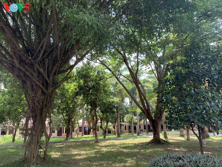 ศูนย์ฟื้นฟูสมรรถภาพทหารทุพพลภาพ ยวีเตียน- สถานที่บรรเทาความปวดร้าวจากสงคราม - ảnh 2