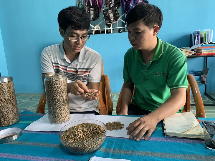 ชนเผ่า Bahnar ในจังหวัดยาลาย ผลิตกาแฟตามมาตรฐานเพื่อการส่งออก - ảnh 2