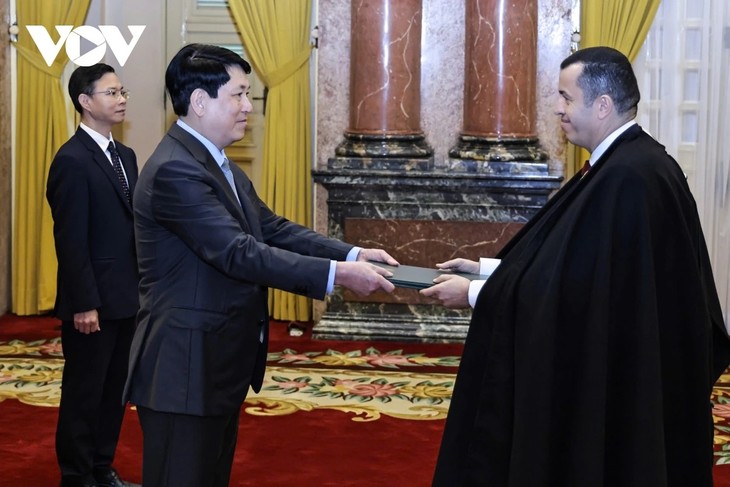 ルオン・クオン国家主席 信任状を奉呈した各国大使と会見 - ảnh 3