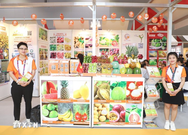 ผลไม้เวียดนามดึงดูดนักท่องเที่ยวต่างชาติในงานแสดงสินค้า Asia Fruit Logistica ที่ฮ่องกง ประเทศจีน - ảnh 1