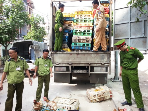 Vietnam strengthens precautions against bird flu - ảnh 1