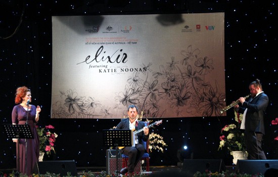 Renowned Australian trio entertains Vietnamese audience - ảnh 1