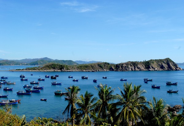 Xuan Dai Bay - ảnh 1