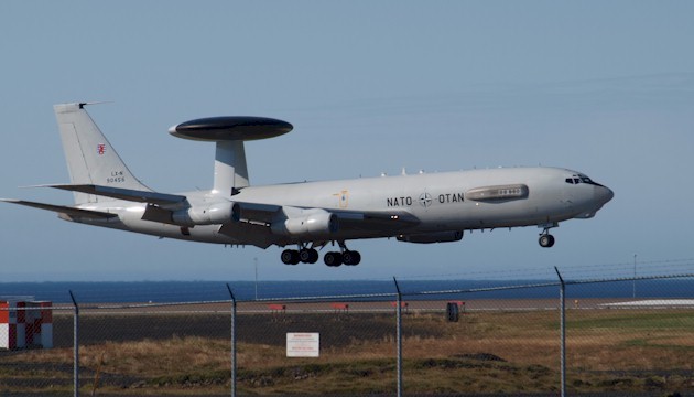 Viking 2014 international exercise begins in Georgia - ảnh 1