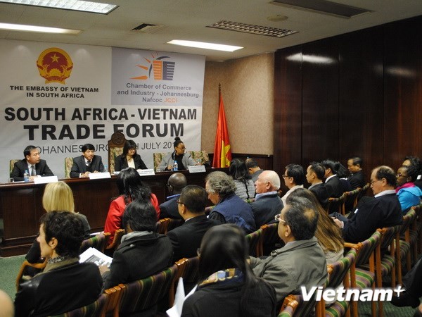 Vietnam, South Africa heighten economic cooperation - ảnh 1