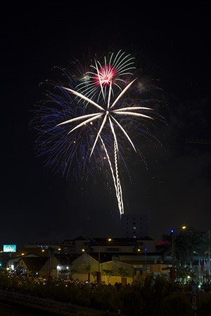   Vietnam’s National Day observed at home and abroad - ảnh 1