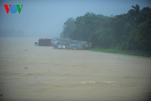 Workshop for local development and climate change adaptation - ảnh 1