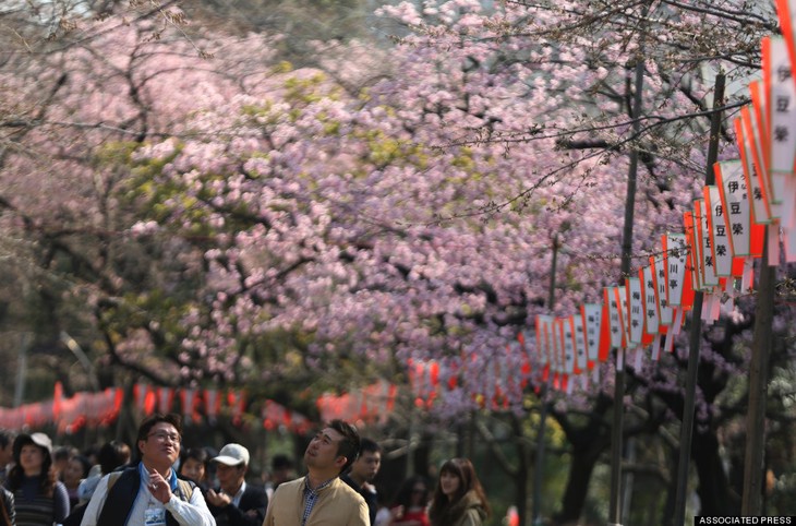 Tokyo seasonal tourism products introduced in Hanoi - ảnh 1