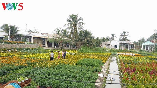 New-style rural area development program improves life in Ben Tre  - ảnh 2