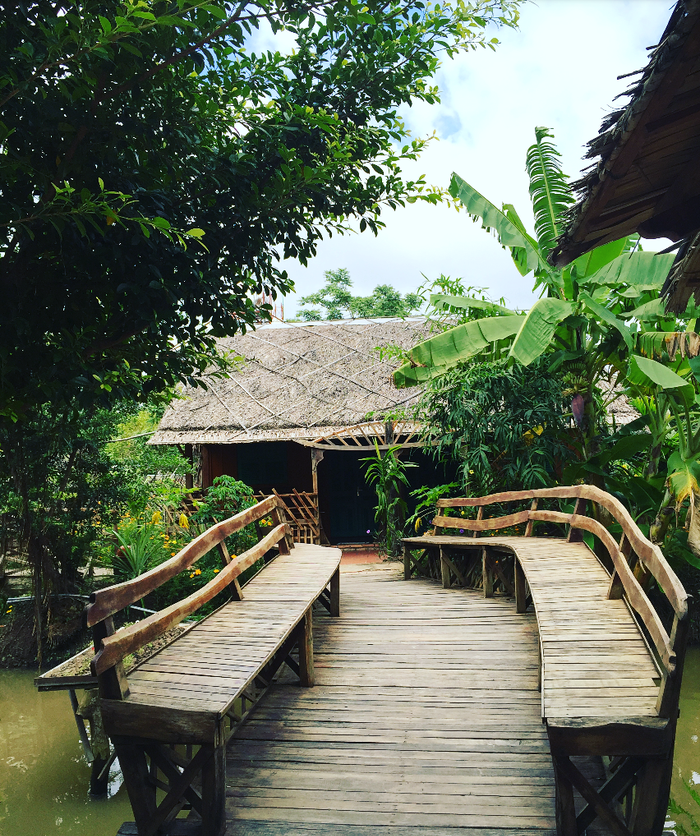 Vàm Xáng fruit garden in Cần Thơ - ảnh 3