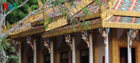 Dơi pagoda in Sóc Trăng province - ảnh 3