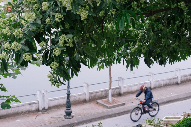 Weekend cycling, new hobby of Hanoians - ảnh 3