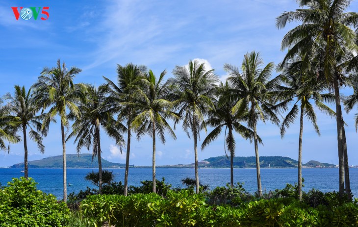 Ly Son island, a living museum of folk culture - ảnh 1