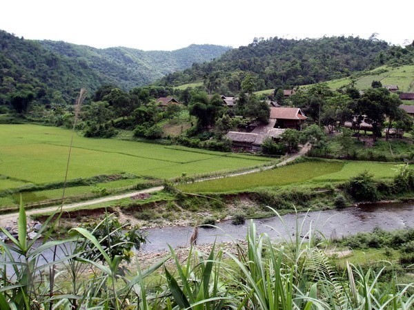 Workshop discusses protected area governance in Vietnam - ảnh 1