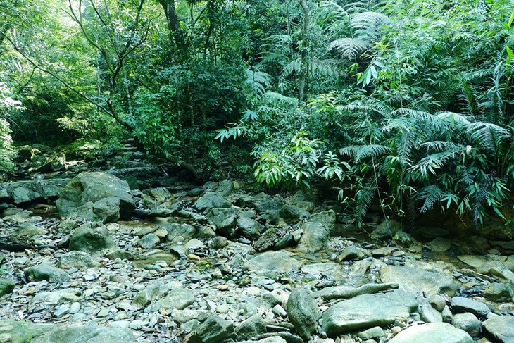 Do Quyen waterfall - ảnh 2