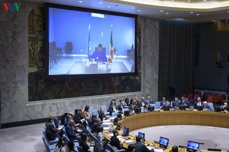 Vietnamese Ambassador presides over UNSC meeting on Mali - ảnh 1