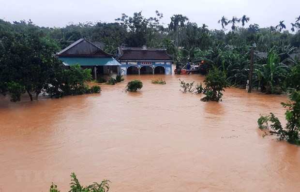 Vietnamese expats in Malaysia raise relief fund for central Vietnam - ảnh 1