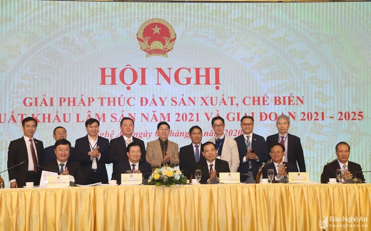 Vietnam sets 20 billion USD wood export target by 2025 - ảnh 1