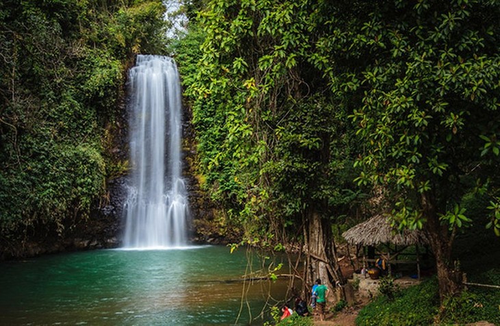 Eco-site Mang Den in the Central Highland forests - ảnh 2