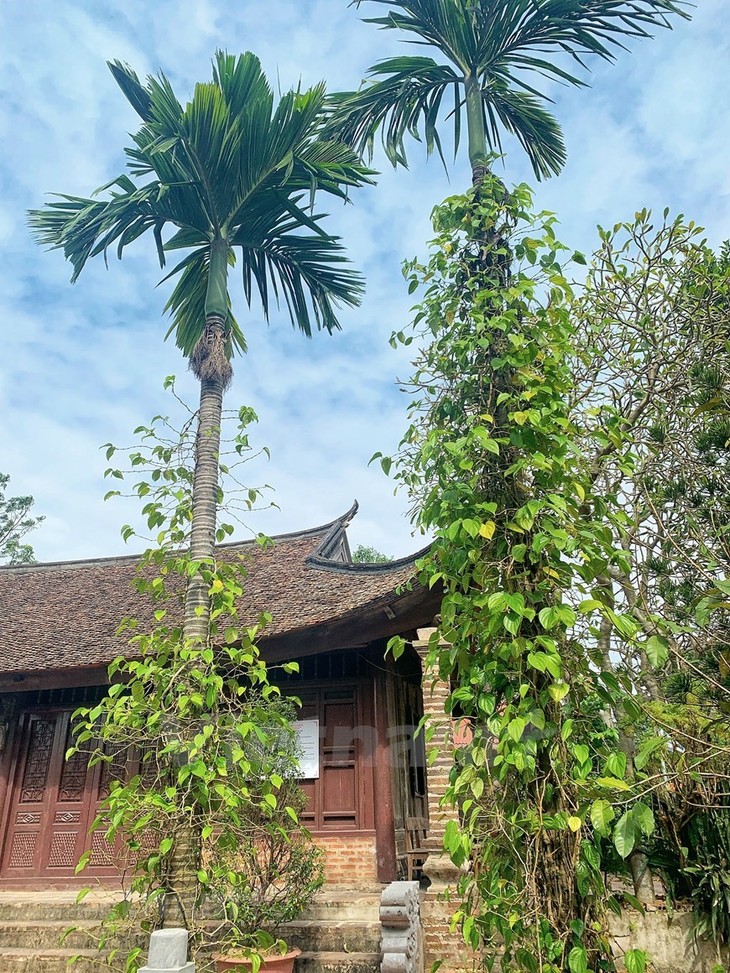 A glimpse of Vietnam’s oldest citadel - ảnh 10