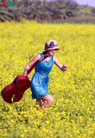 Hanoier Mädchen mit der Saison der Cai-Blüte - ảnh 2