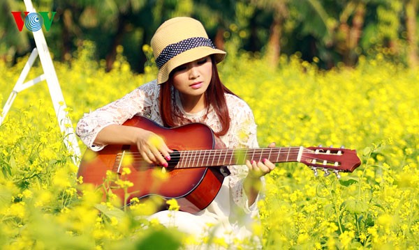 Hanoier Mädchen mit der Saison der Cai-Blüte - ảnh 3