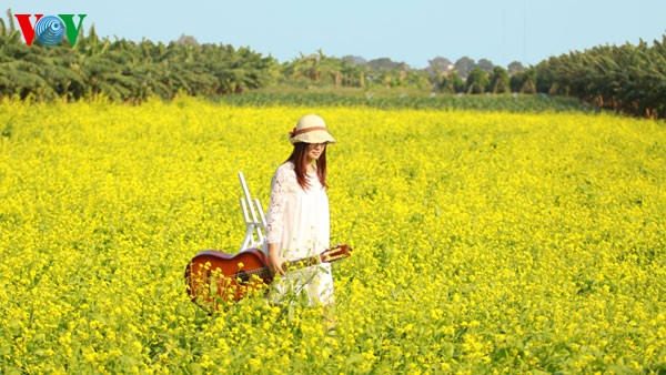 Hanoier Mädchen mit der Saison der Cai-Blüte - ảnh 9