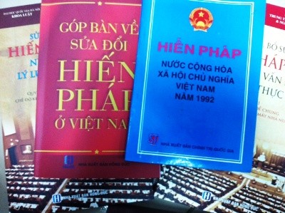 Entfaltung der Demokratie in der verbesserten Verfassung von 1992 - ảnh 1