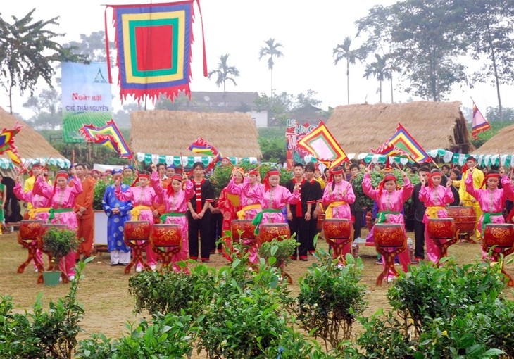 Internationales Teefestival in Thai Nguyen - ảnh 1