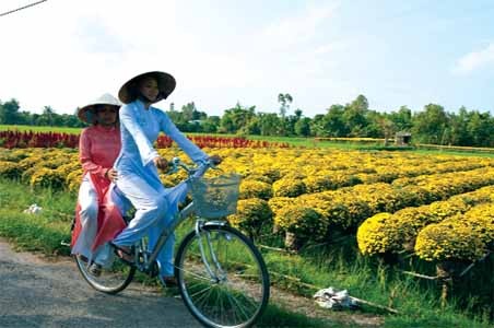 Blumendorf Sa Dec in Südvietnam - ảnh 1