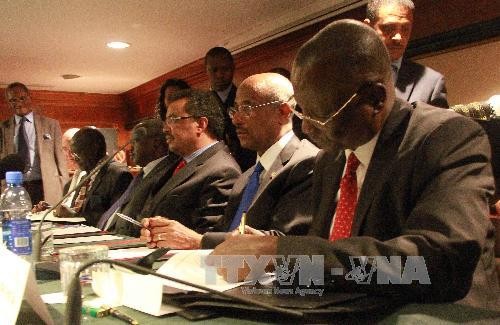 Länder Ostafrikas werden Soldaten nach Südsudan entsenden - ảnh 1