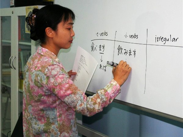 Japan verstärkt Beziehungen zu ASEAN-Ländern - ảnh 1