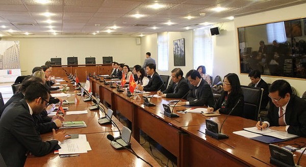 Vietnamesischer Export nach Chile steigt dank Freihandelsabkommen  - ảnh 1